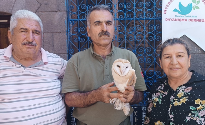 Urfa’da yaralı olarak bulunan peçeli baykuş tedaviye alındı
