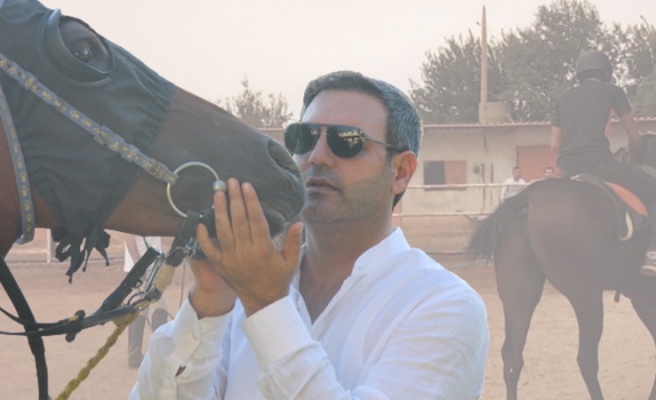 Şanlıurfa'da at yetiştiriciliği: 30 bin ailenin geçim kaynağı