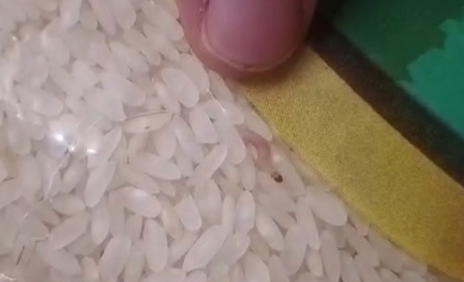 Urfa’da iğrenç görüntü: Kurtlu pirinç ele geçirildi