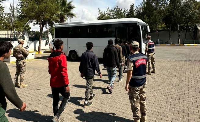 Urfa’da jandarmadan düzensiz göçmen operasyonu