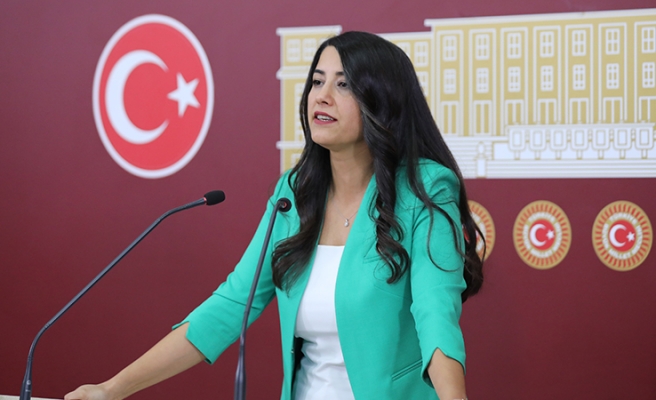 Vekil Ayan pamuk fiyatlarını meclise taşıdı