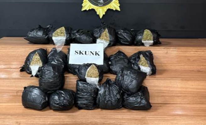 Şanlıurfa'da skunk operasyonu