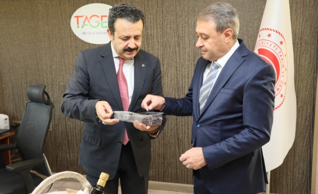 Vali Şıldak: Yerli tohum altın değerinde