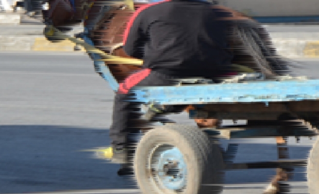 Şanlıurfa'da at arabası takla attı! Yaralılar var