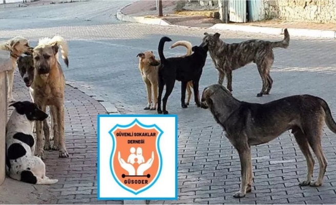 Başıboş köpek kaynaklı insan ölümleri haritasında Urfa ilk sırada