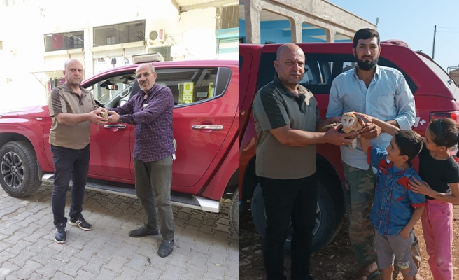 Bitkin halde bulunan hayvanlar tedaviye alındı