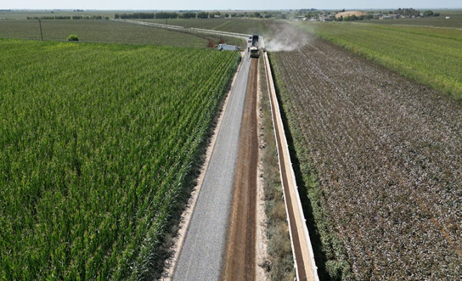 Urfa'da preseli pamuk 44,25 liradan alıcı buldu