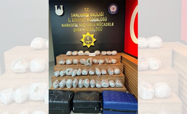 Urfa dahil 31 ilde eş zamanlı operasyon: 208 şüpheli yakalandı