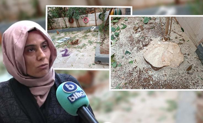 Şanlıurfa'da ilginç olay: Yanlışlıkla yaş ağacı kestiler