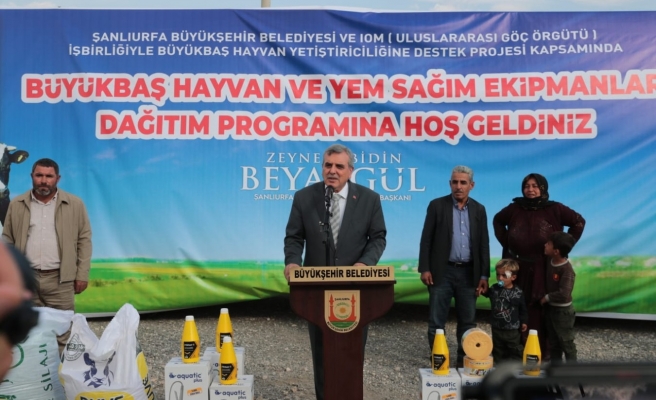 Büyükşehir’den hayvancılığa büyük destek!