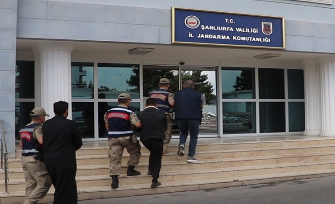 Urfa’da “El Halaf” suç örgütü çökertildi