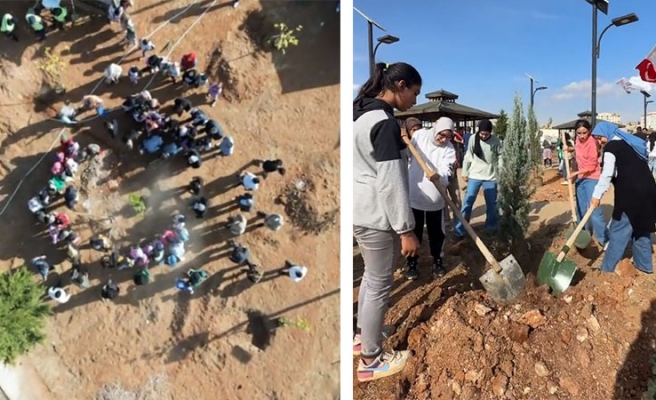 Halfeti’de 100 fidan dikildi