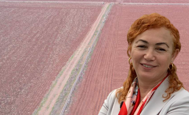 Şanlıurfa'da kuraklık alarmı: Su israfına dikkat!