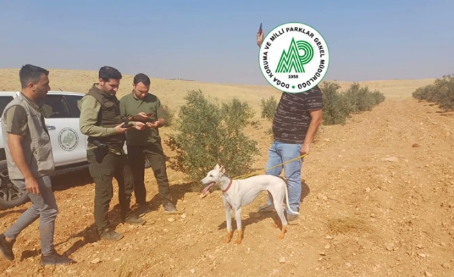 Şanlıurfa'da usulsüz av yapanlara ceza