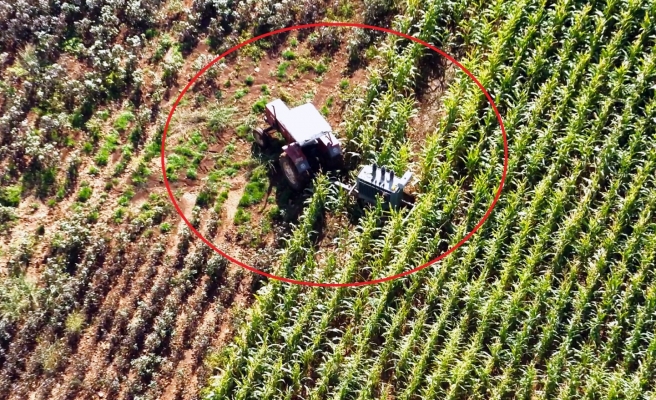 Urfa'da mısır tarlasında kaçak trafolar tespit edildi