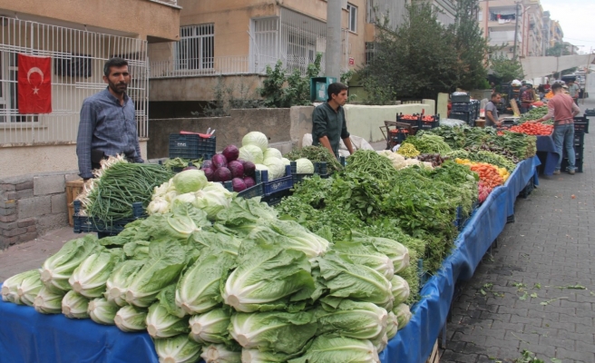 Urfa’da turşuluk salatalığın fiyatı cep yakıyor