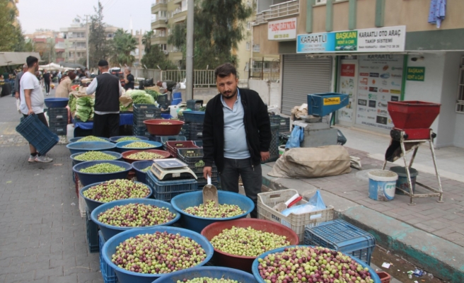 Şanlıurfa'da zeytin fiyatları tavan yaptı!