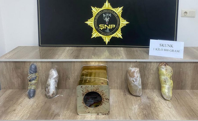 Şanlıurfa'da 1 kilo 800 gram skunk ele geçirildi