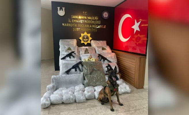 Şanlıurfa'da 170 kilo 700 gram skunk ele geçirildi