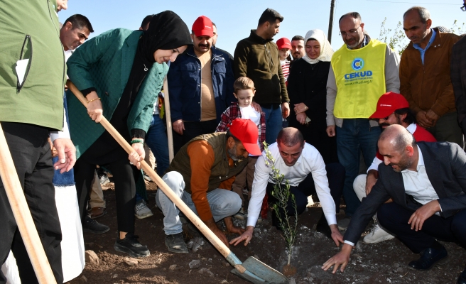 Siverek'te 90 bin fidan toprakla buluştu