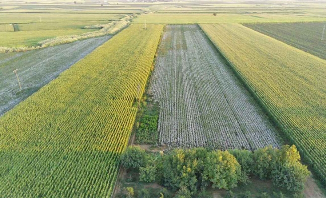 Tarım arazisi itirazları için mirasçılık belgesi zorunluluğu