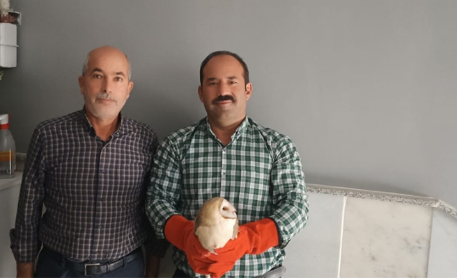 Urfa’da tedavileri tamamlanan peçeli baykuş ile kaya güvercinleri doğaya bırakıldı