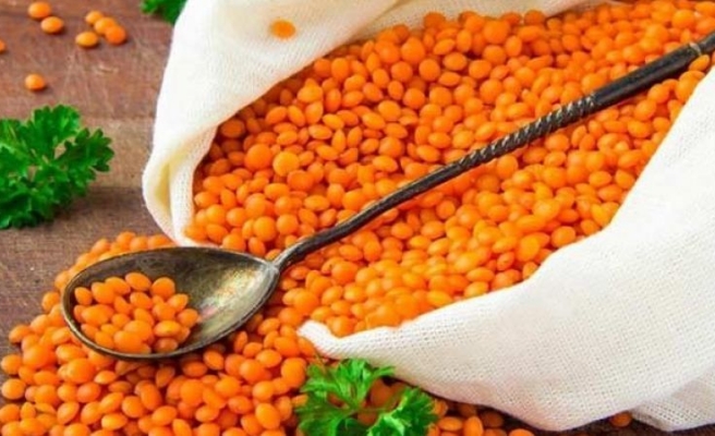 Şanlıurfa Ticaret Borsasında mercimek fiyatlarında artış