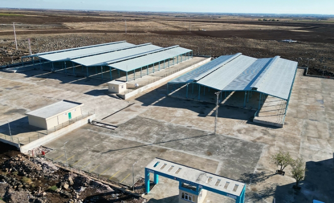 Büyükşehirden Viranşehir’e modern canlı hayvan pazarı
