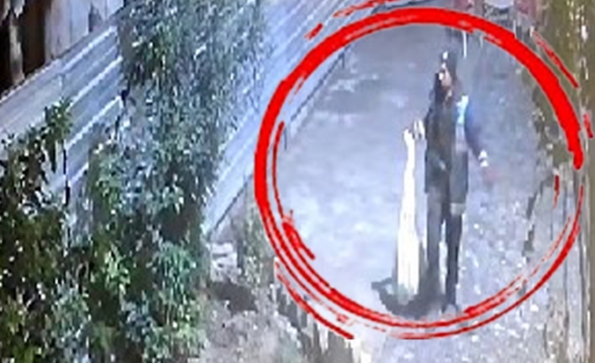 Şanlıurfa’da kedileri çuvala doldurup cami avlusuna bıraktı!