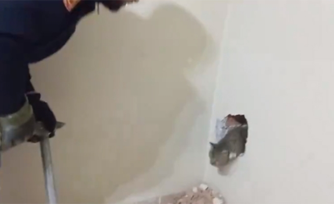 Şanlıurfa’da yavru kediyi itfaiye kurtardı