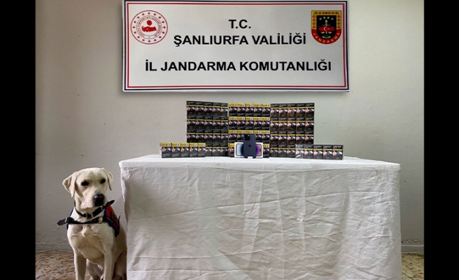 Şanlıurfa'da uyuşturucu ve kaçakçılık operasyonu