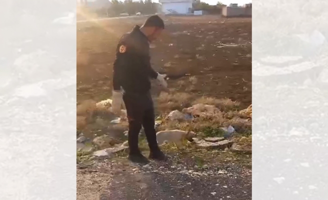 Viranşehir'de yavru köpek kurtarıldı